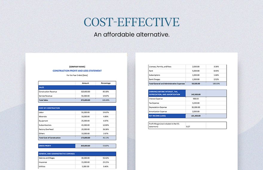 Construction Profit Loss Statement Template Google Docs Word