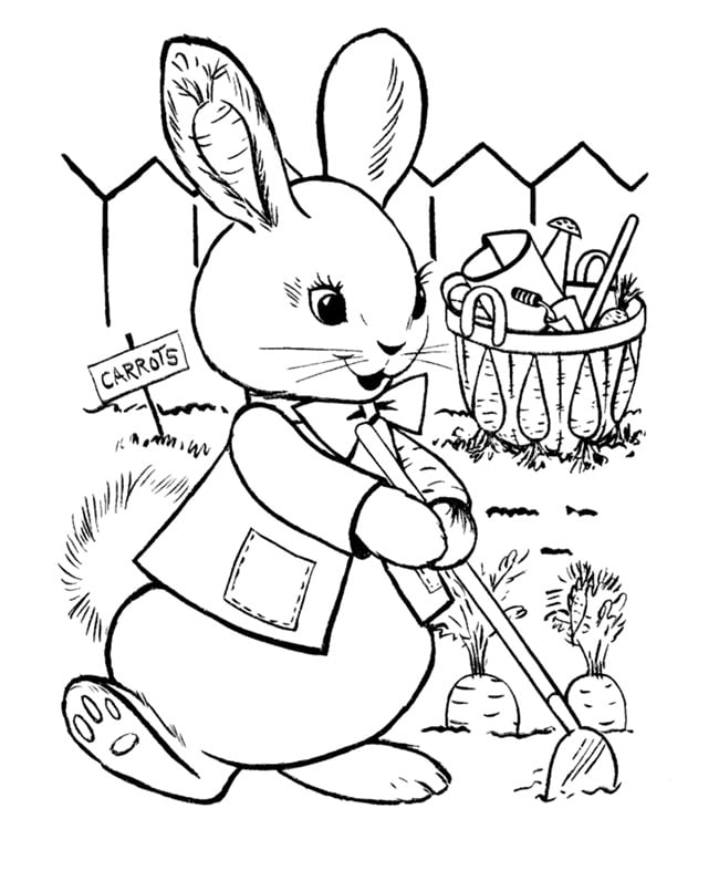 peter rabbit coloring page