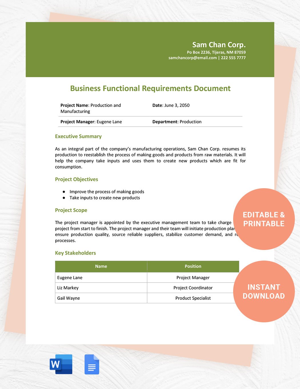 Business Functional Requirements Document Template in Word, Google Docs