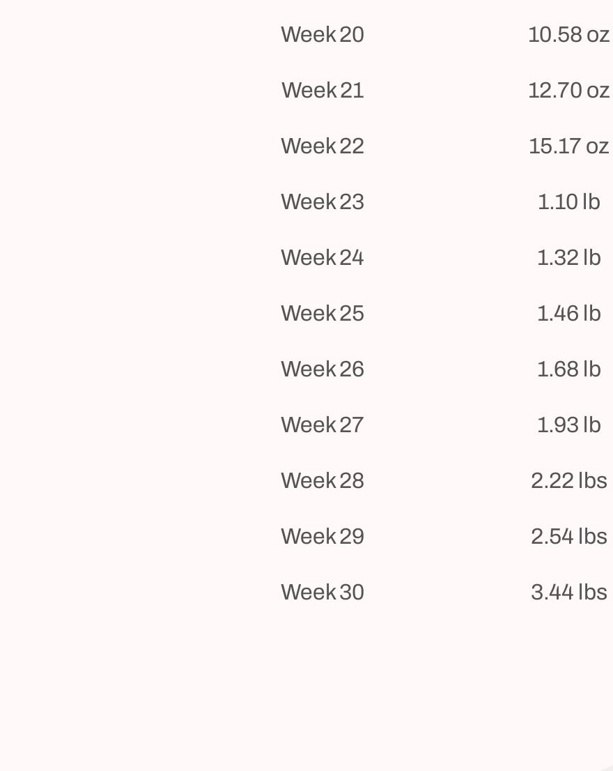 baby-weight-chart-by-weeks-pregnancy-pdf-template