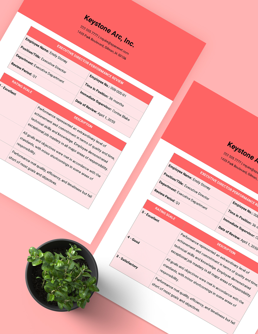 executive-director-performance-review-template-download-in-word