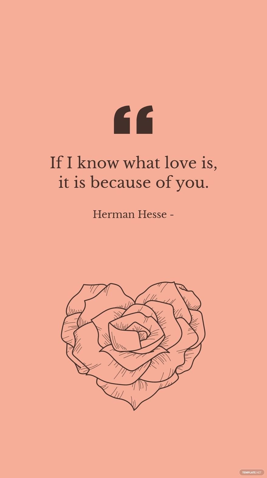 Herman Hesse - If I know what love is, it is because of you.