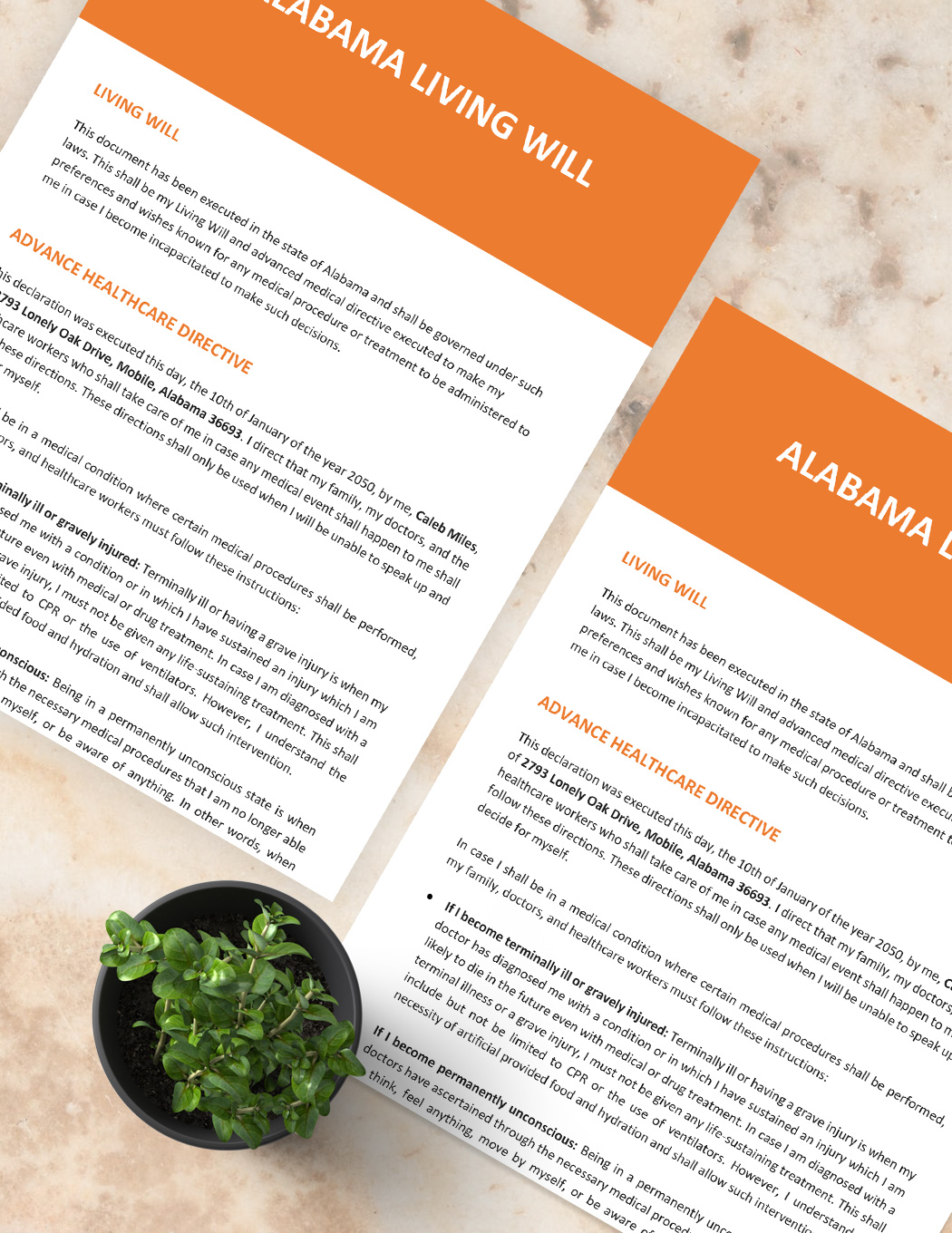 alabama-living-will-template-download-in-word-google-docs-template