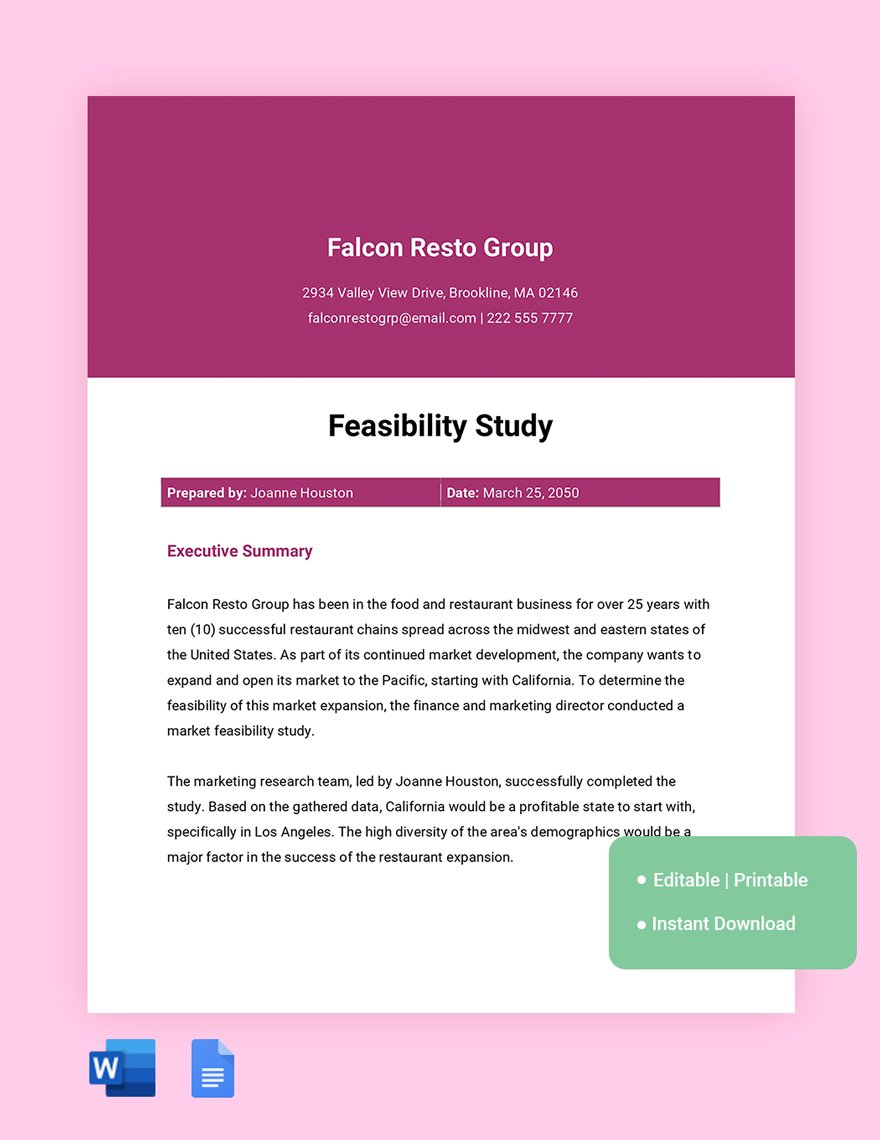 Feasibility Study Template in Word, Google Docs