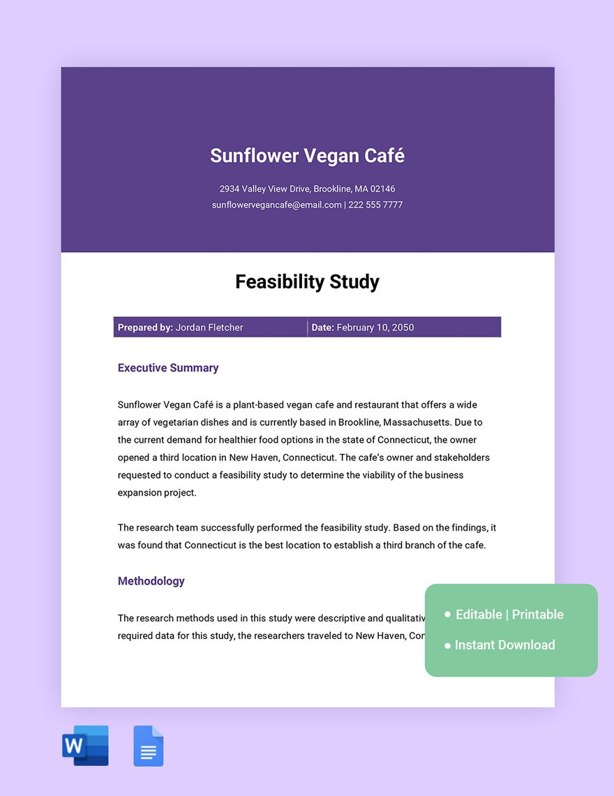 Free Feasibility Study Outline Template in Word, Google Docs