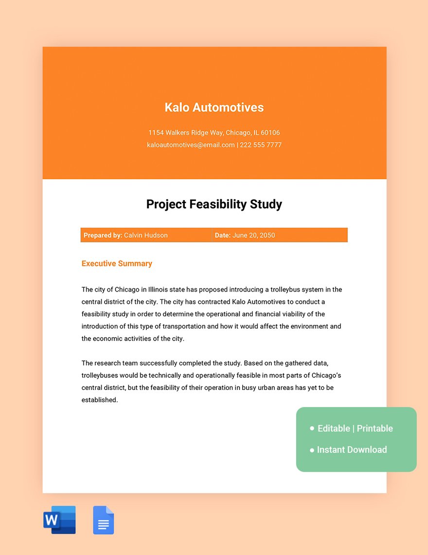 Project Feasibility Study Template in Word, Google Docs