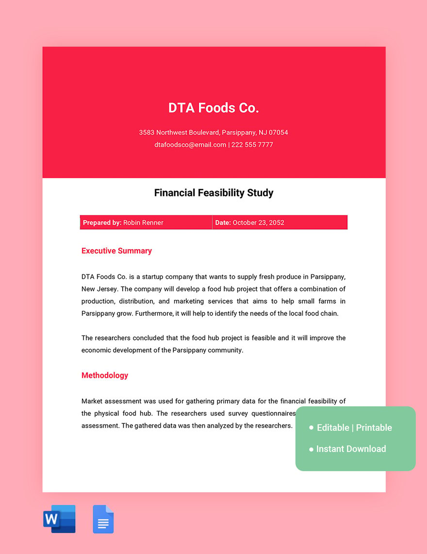 Financial Feasibility Study Template in Word, Google Docs