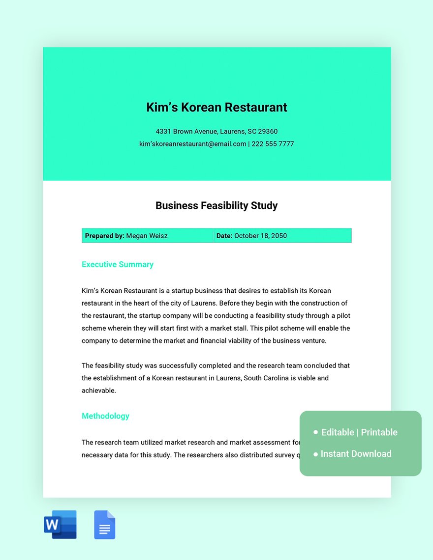 Business Feasibility Study Template in Word, Google Docs