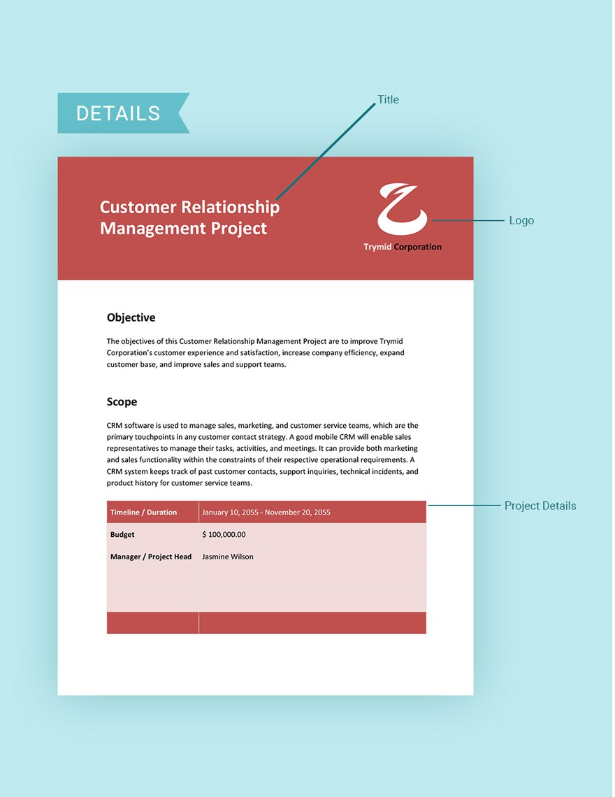 Customer Relationship Management Project Scope Template