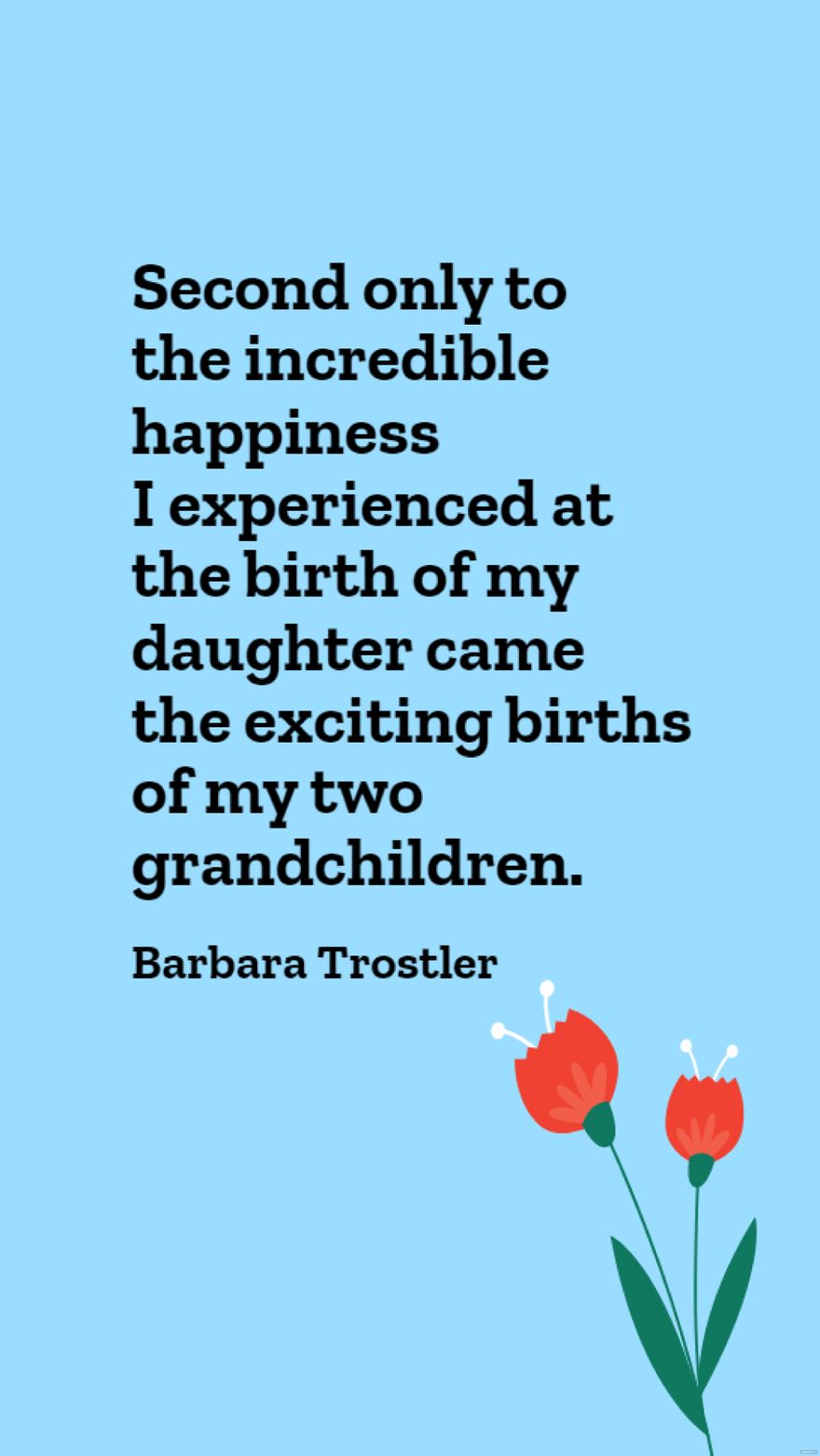 Barbara Trostler - Second only to the incredible happiness I experienced at the birth of my daughter came the exciting births of my two grandchildren.
