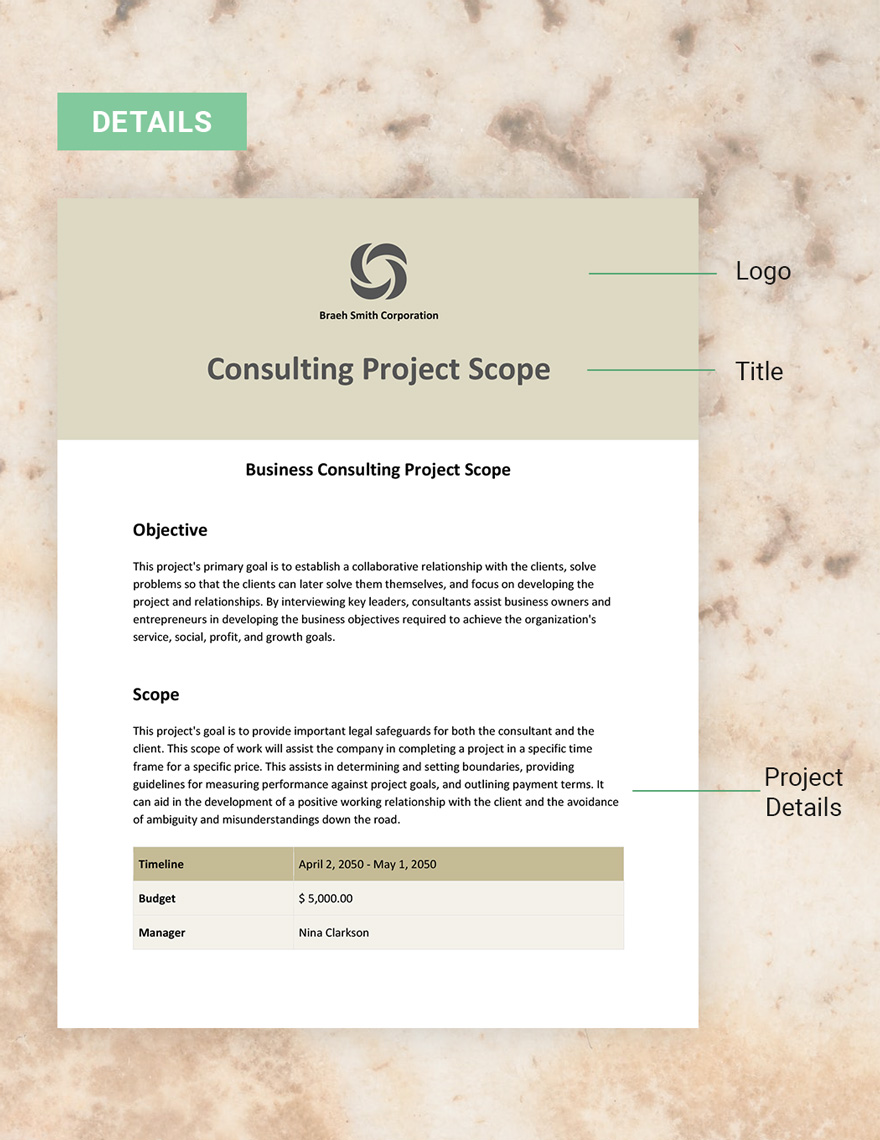 Consulting Project Scope Template Download in Word, Google Docs