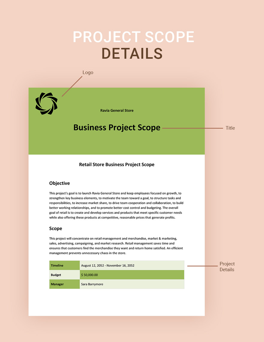 Business Project Scope Template