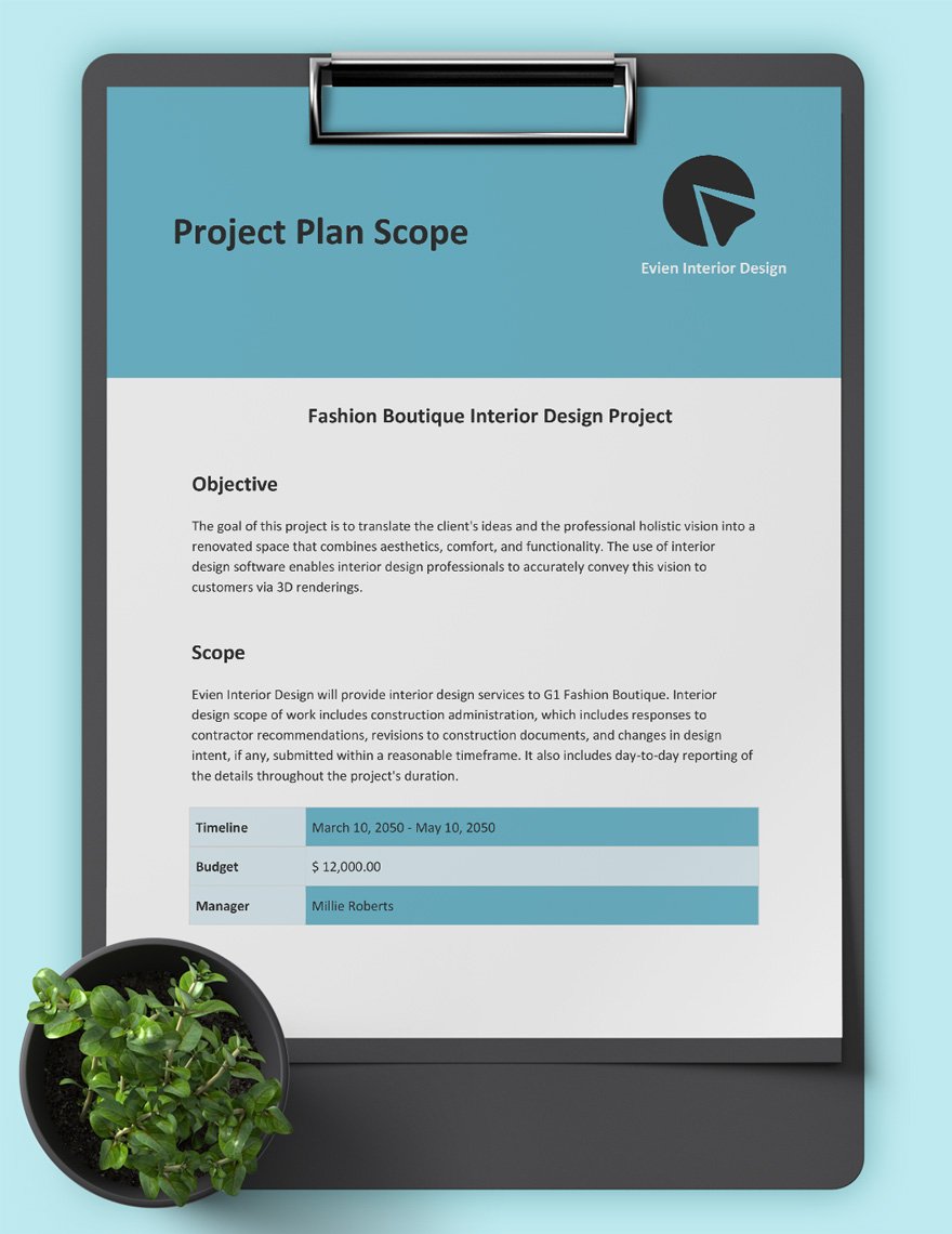 Project Plan Scope Example 
