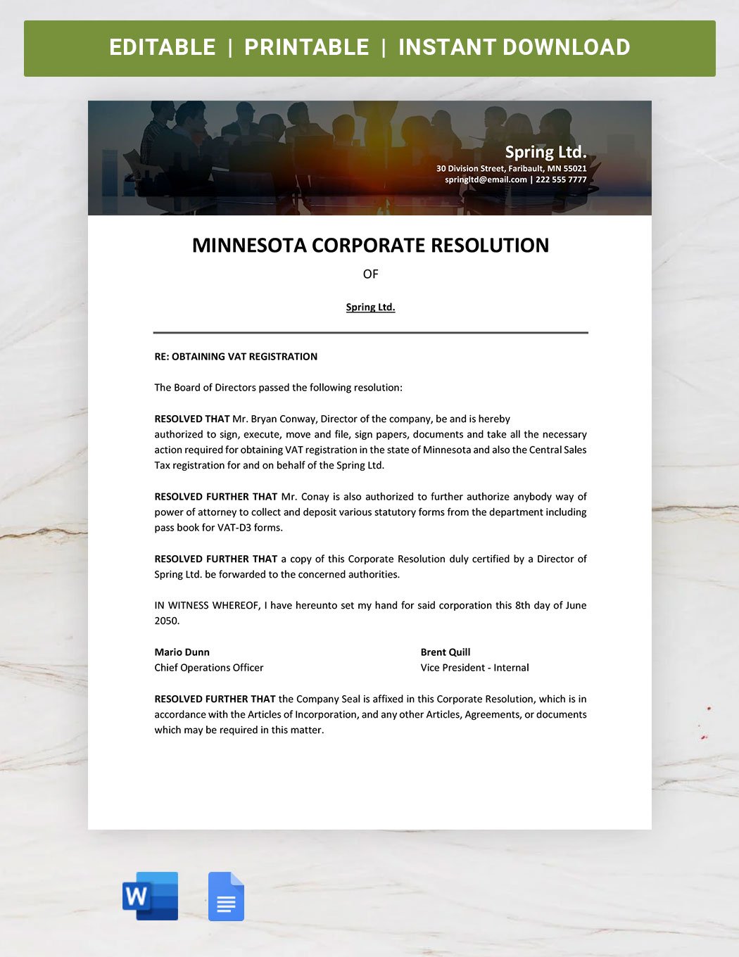 Minnesota Corporate Resolution Template in Word, Google Docs
