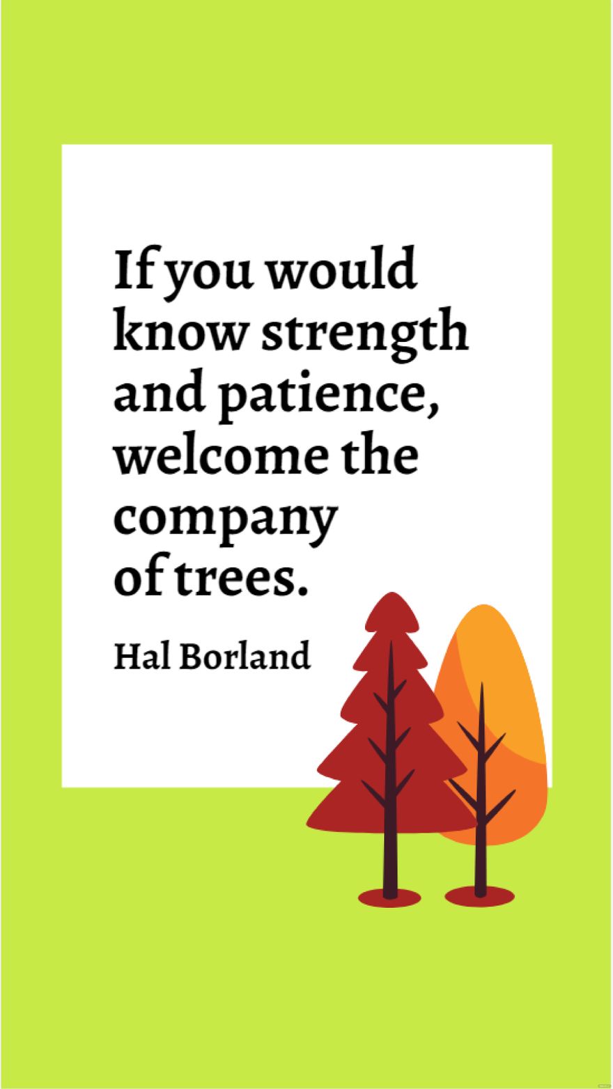 Hal Borland - If you would know strength and patience, welcome the company of trees.