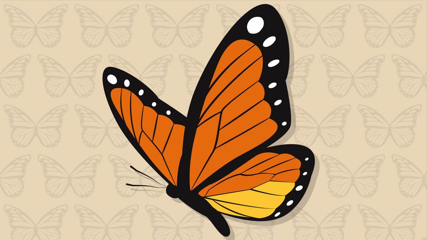 Butterfly Background - Images, HD, Free, Download 