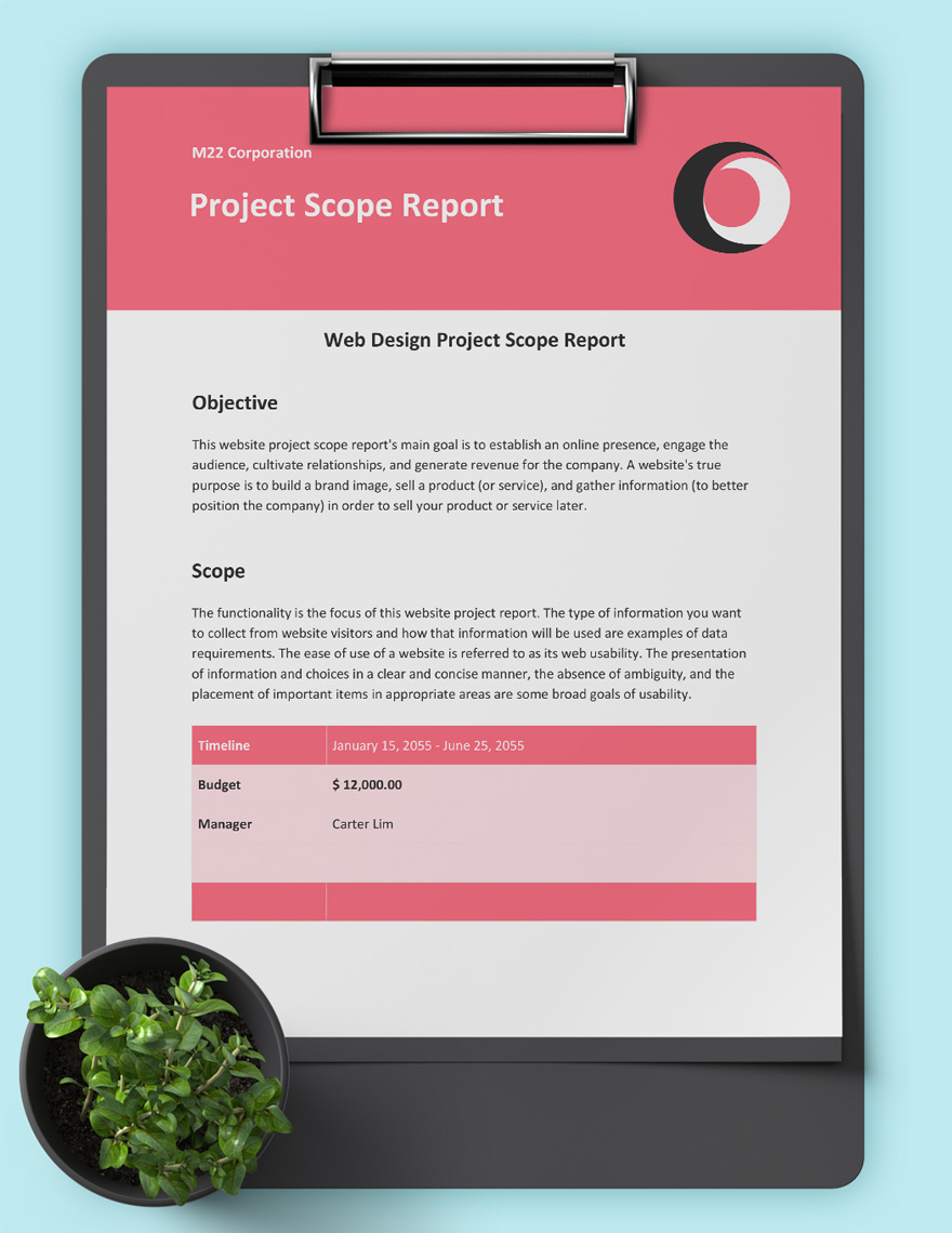 Project Scope Report Template