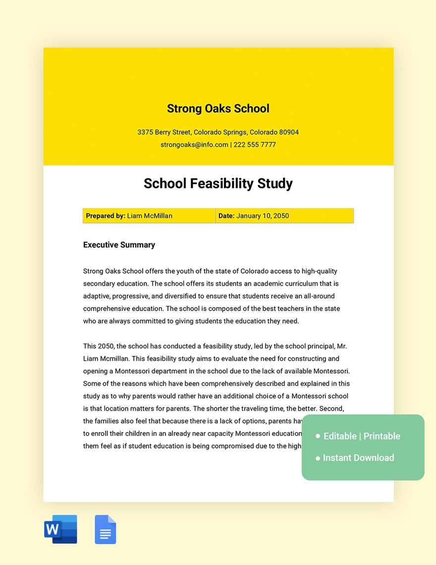 School Feasibility Study Template in Word, Google Docs
