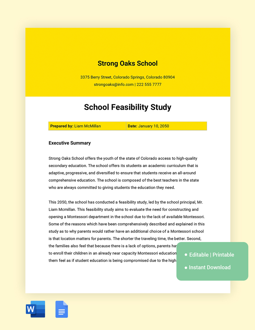 Editable Feasibility Study Templates In Word To Download