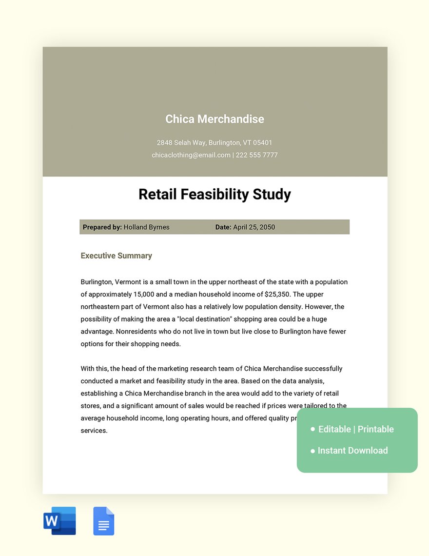 Retail Feasibility Study Template in Word, Google Docs