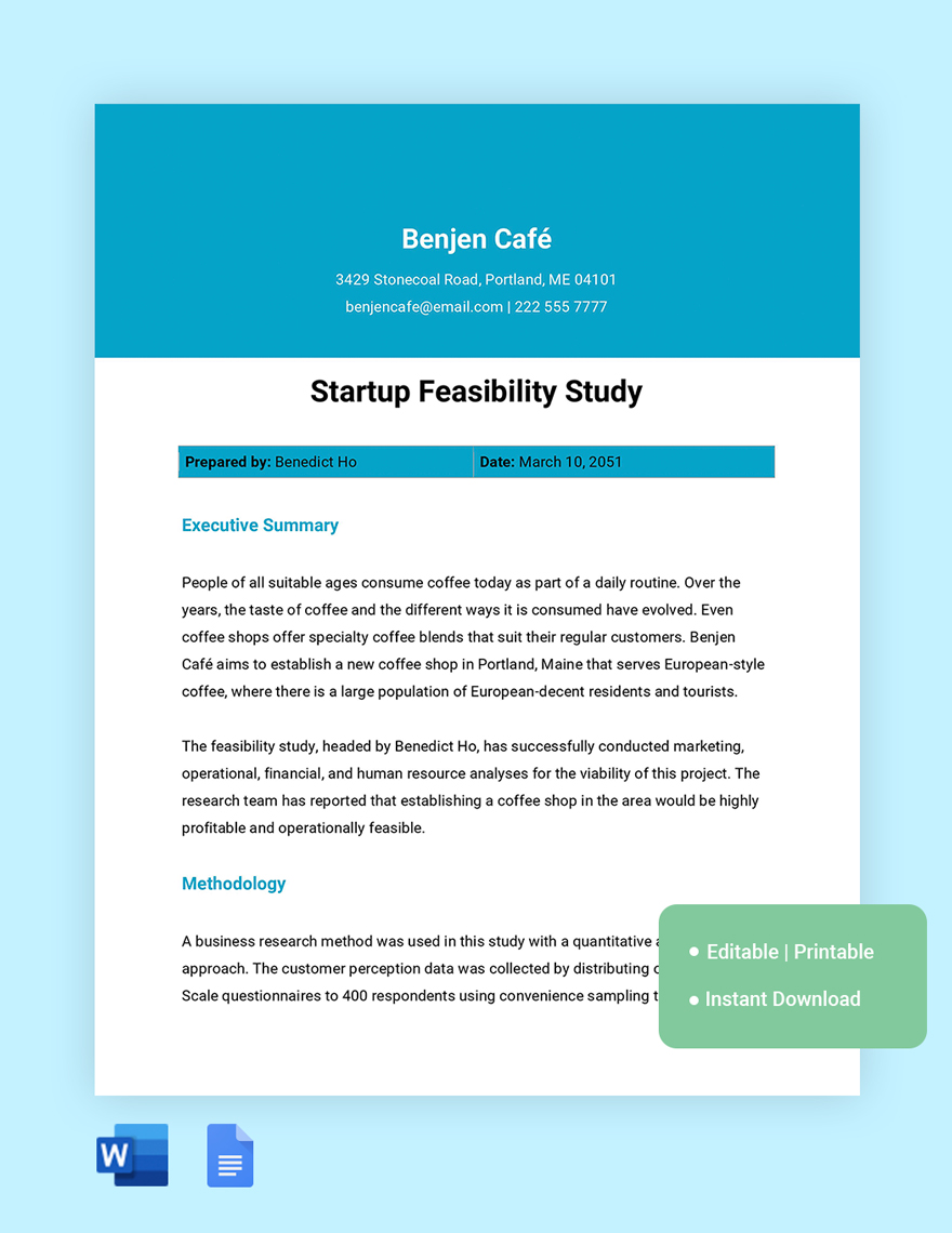 Free Startup Feasibility Study Template in Word, Google Docs