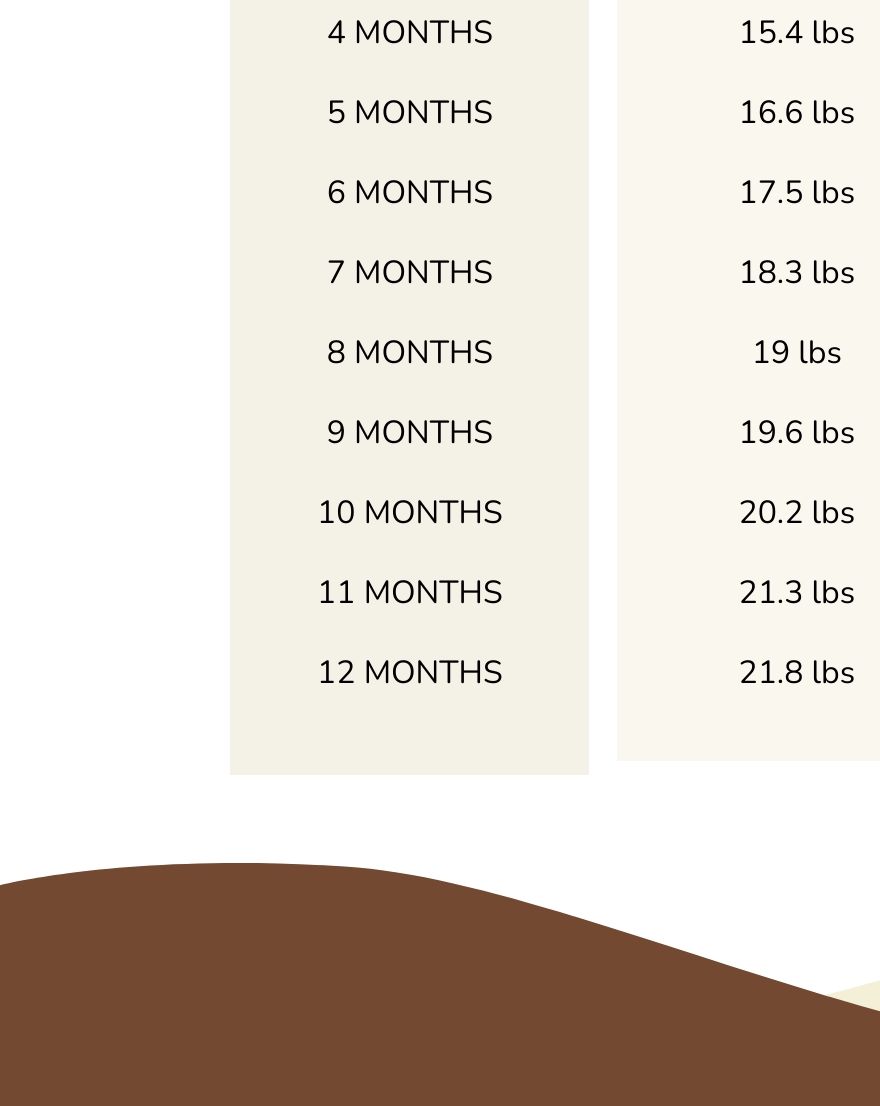 After Birth Baby Growth Chart - PDF | Template.net