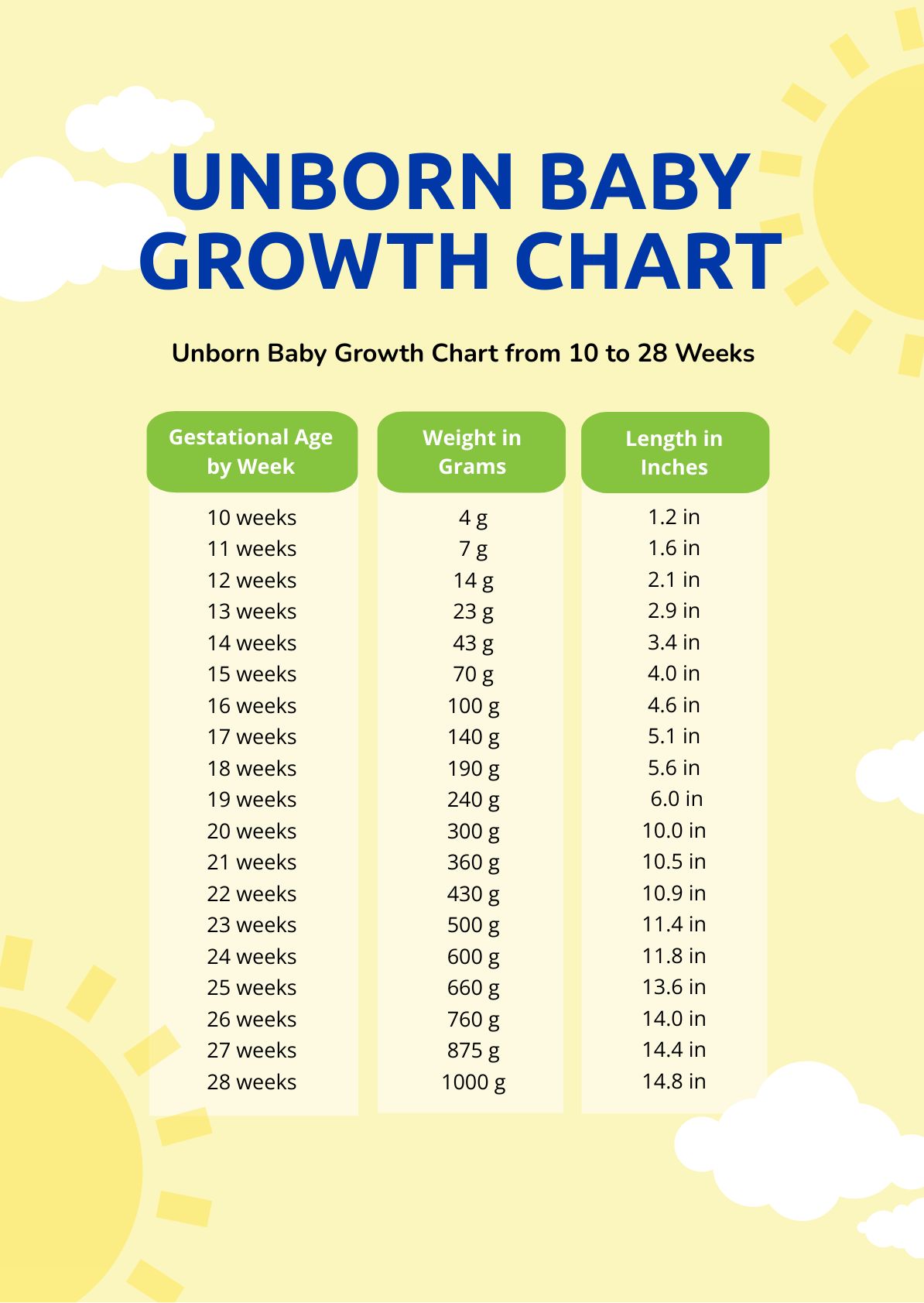 Unborn Baby Growth Chart in PDF - Download