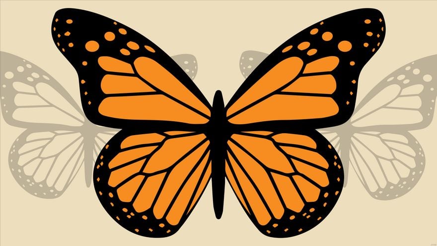 Butterfly Desktop Background