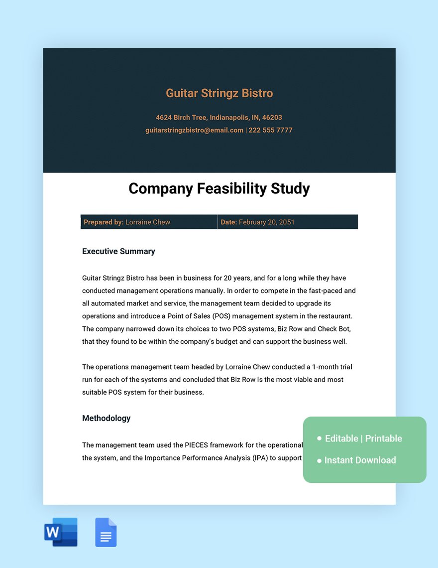 Company Feasibility Study Template in Word, Google Docs