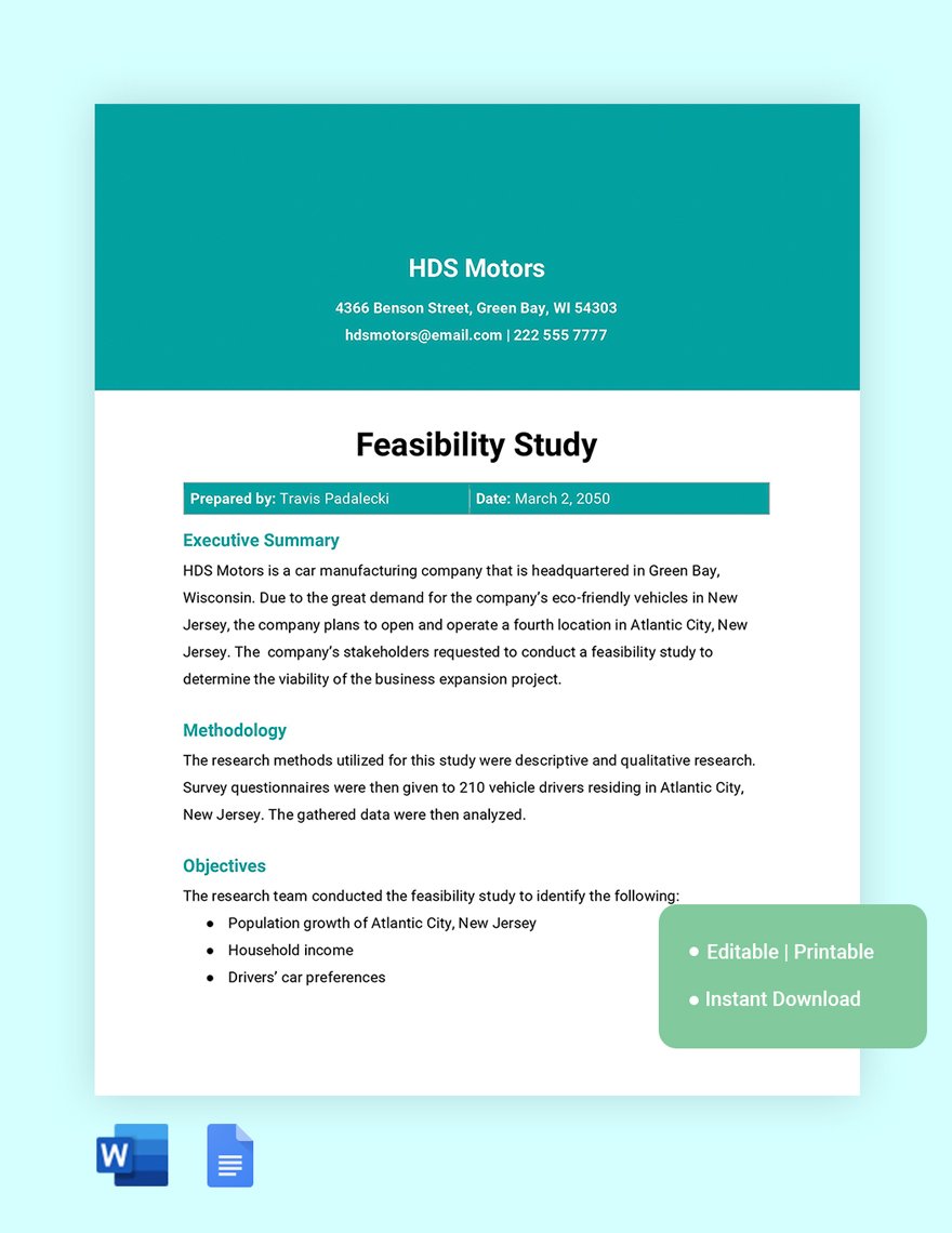 One Page Feasibility Study Template