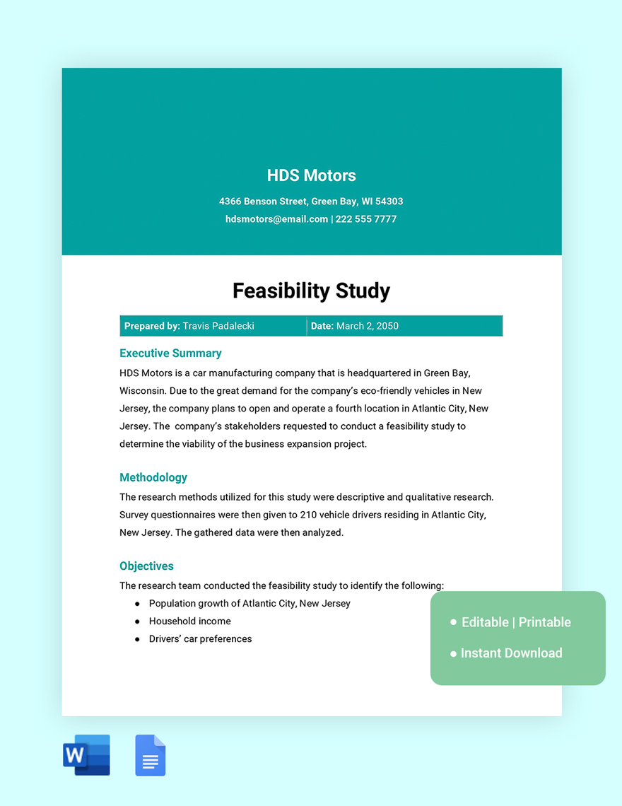 FREE Feasibility Study Template Download In Word Google Docs Excel 