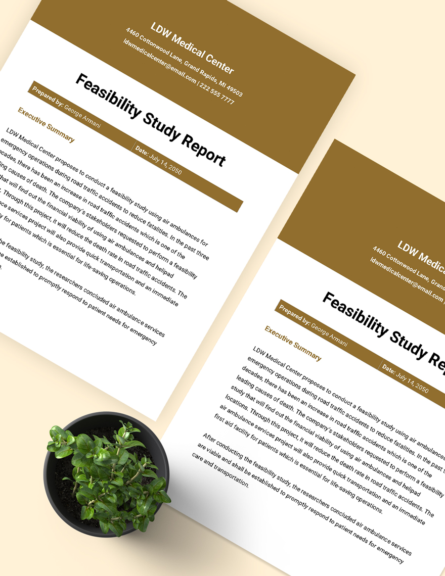 Feasibility Study Report Template in MS Word, GDocsLink - Download