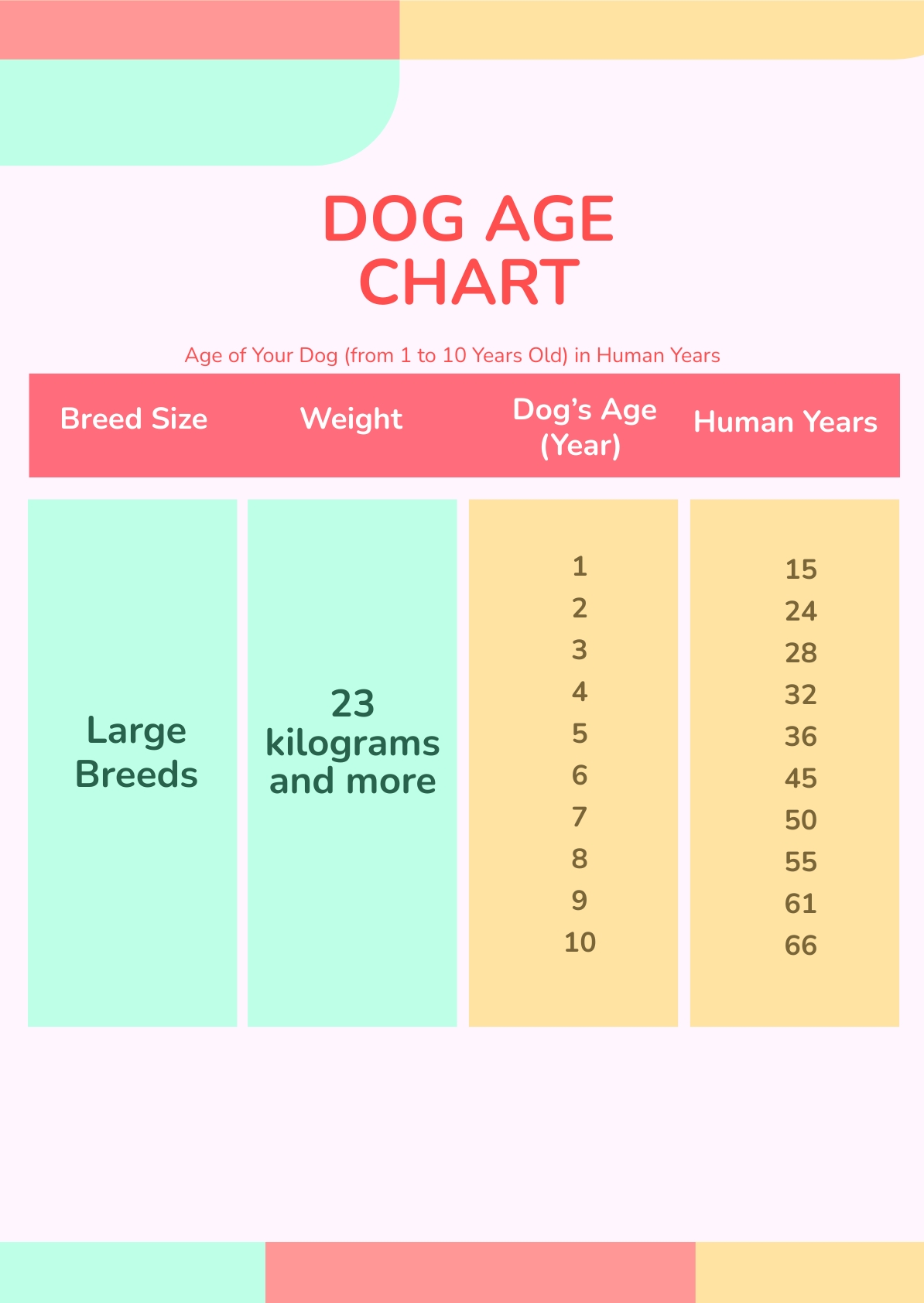 Dog Age Chart