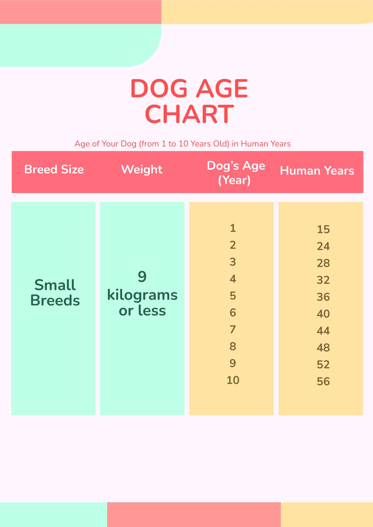 Free Feeding Dog Age Chart - PDF | Template.net