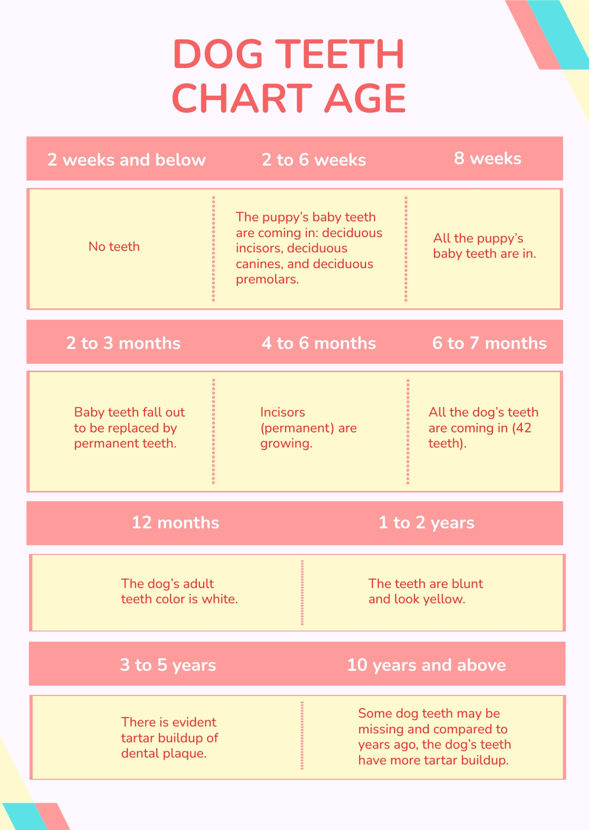 Age Templates In PSD FREE Download Template