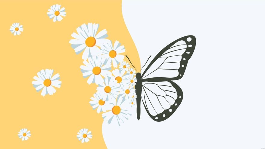 Daisy Butterfly Background