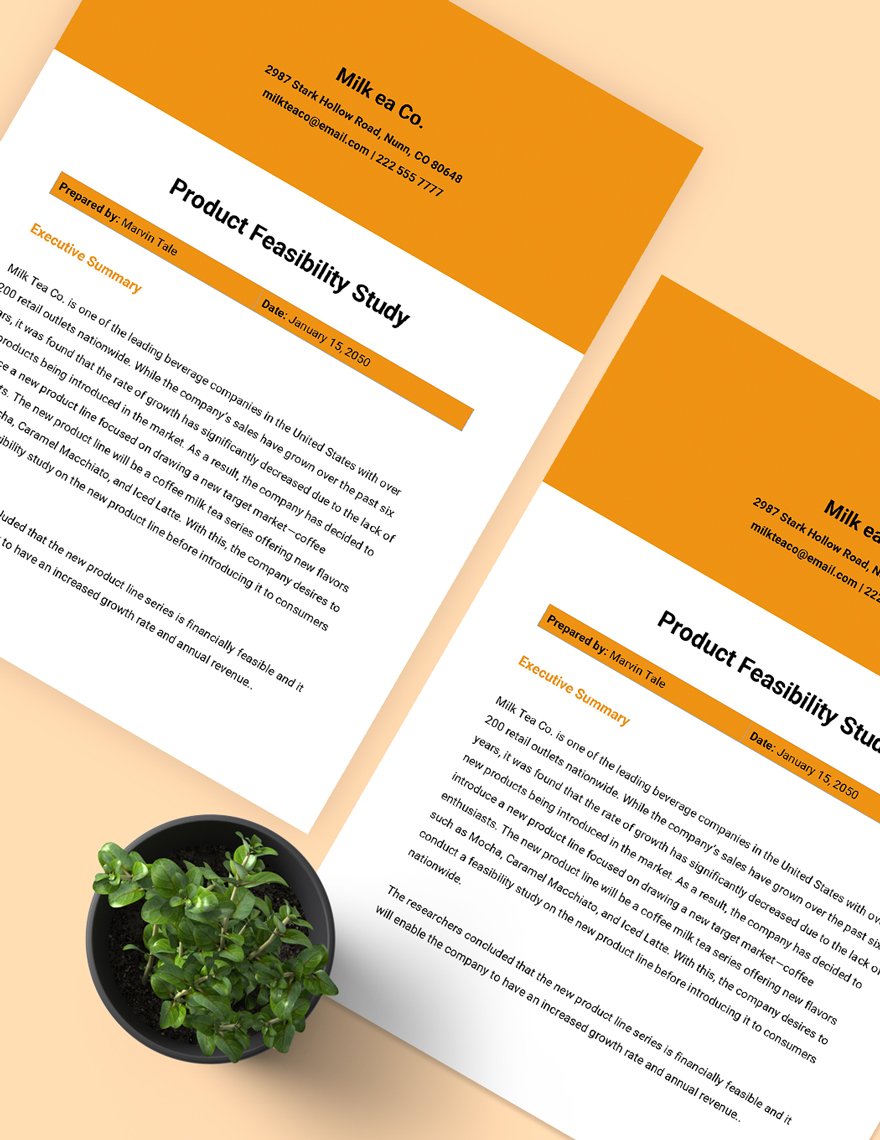 Product Feasibility Study Template