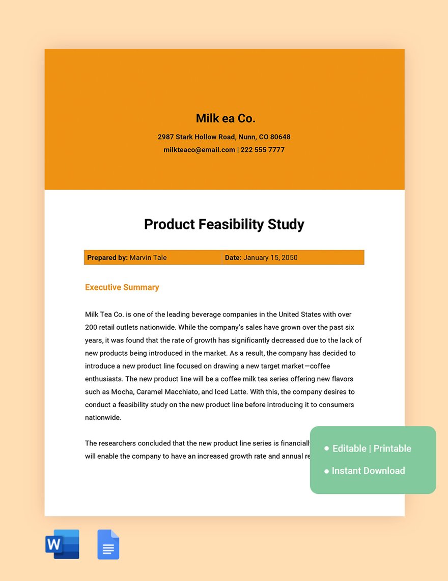 Product Feasibility Study Template in Word, Google Docs