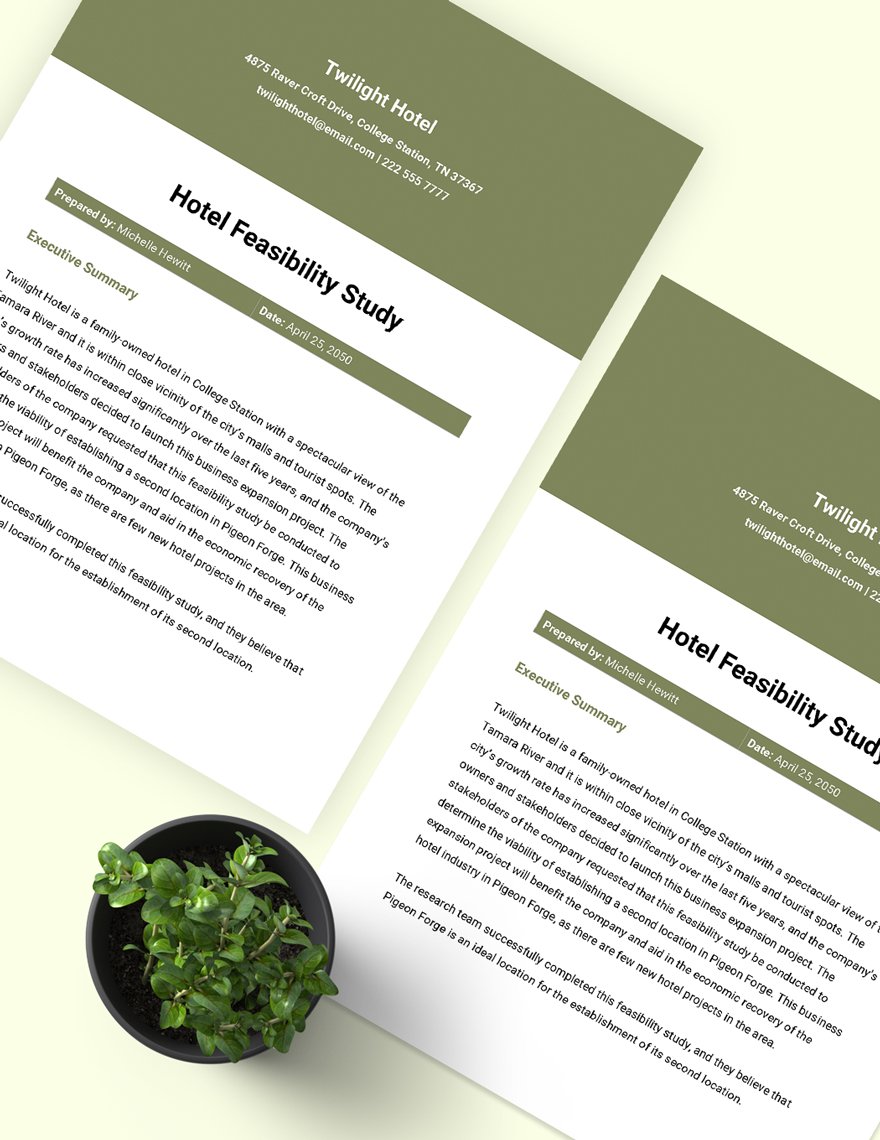 Hotel Feasibility Study Template