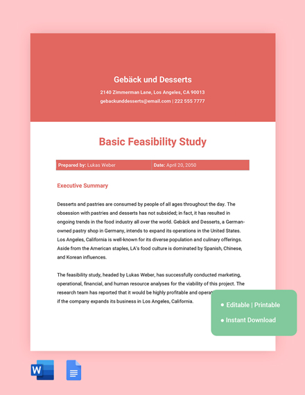 FREE Feasibility Study Word Template Download Template net FREE Feasibility Study Word Template Download Template net
