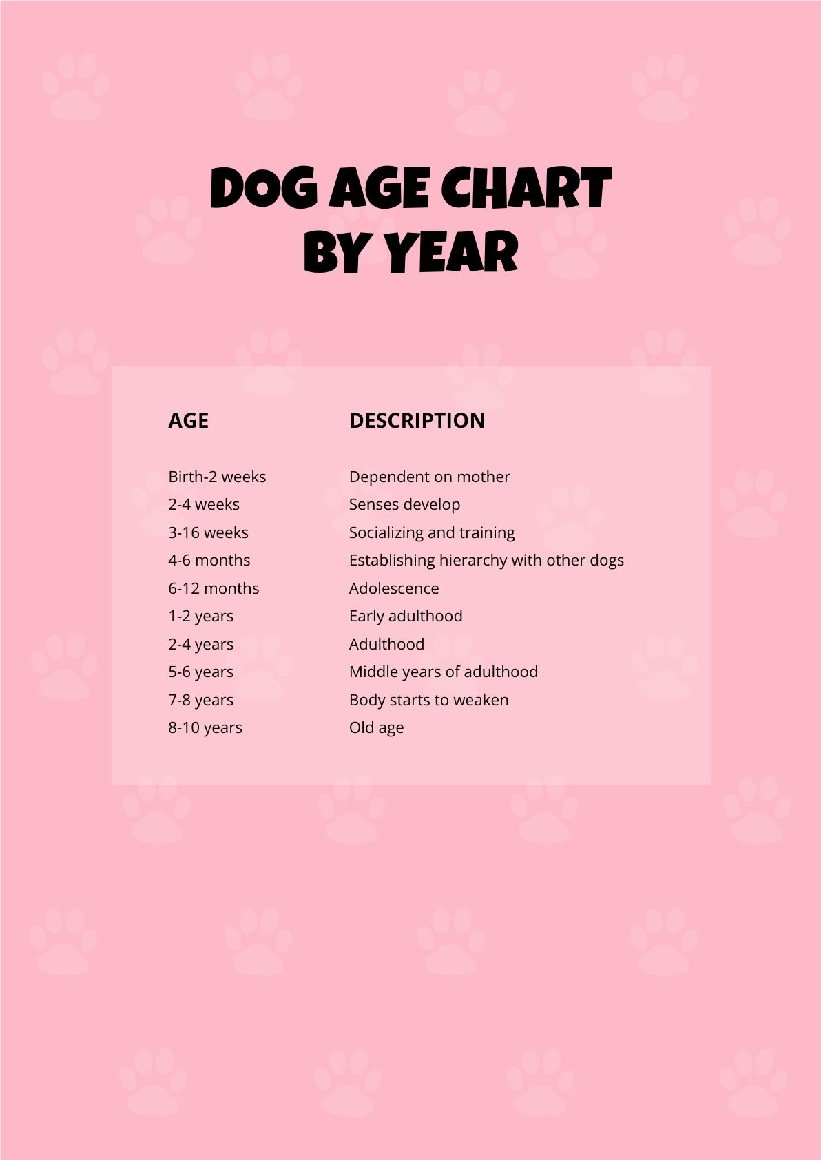 Dog Age Chart By Year in PDF