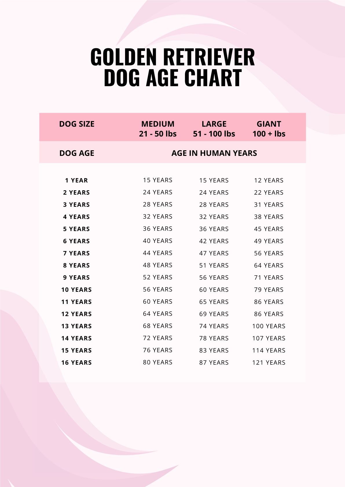 Golden Retriever Dog Age Chart in PDF
