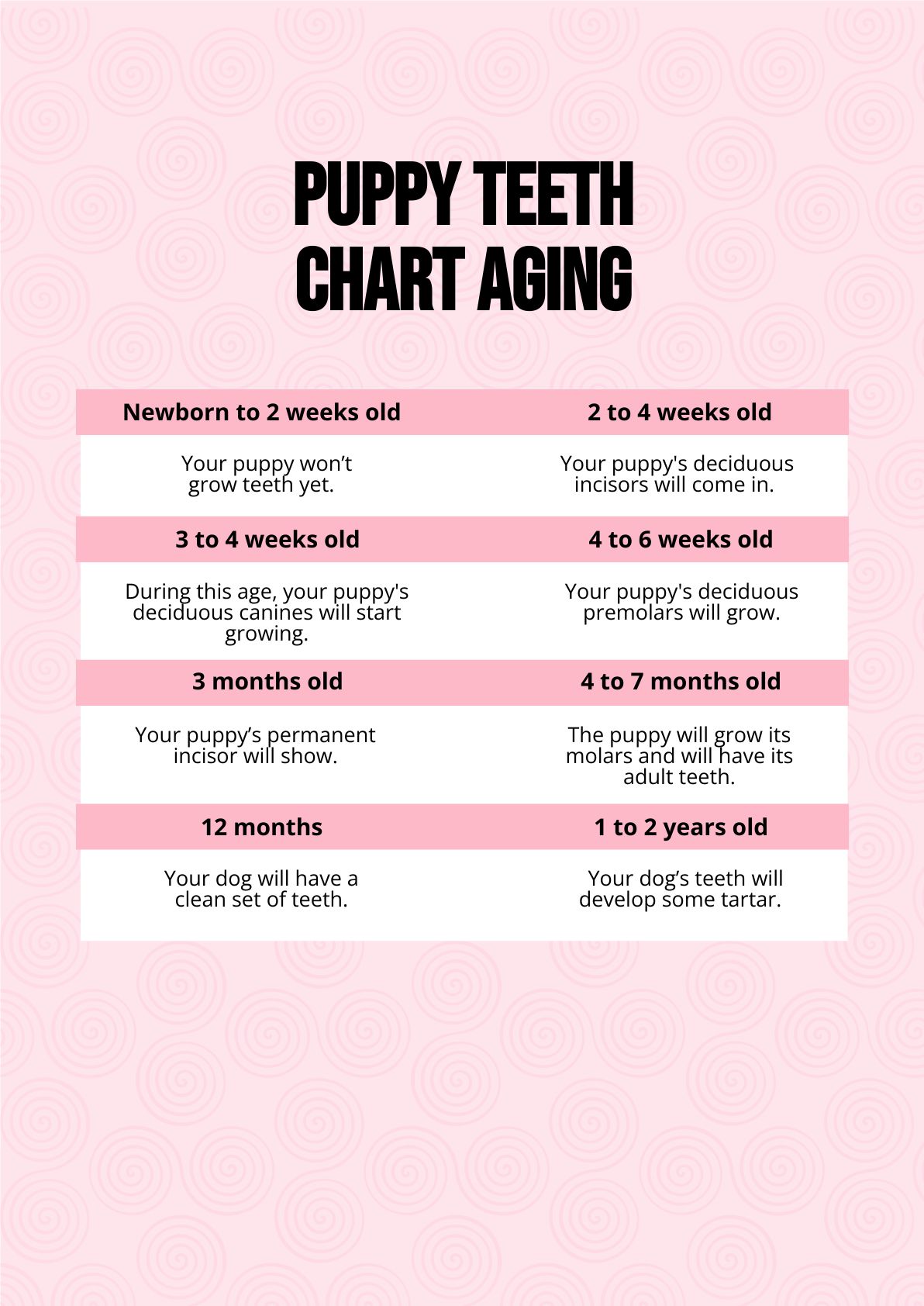 Free Puppy Teeth Chart Aging PDF