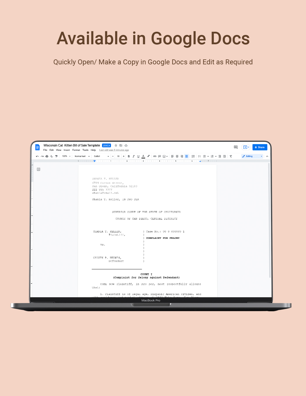 Free Sample Pleading Paper Template Download In Word Google Docs 