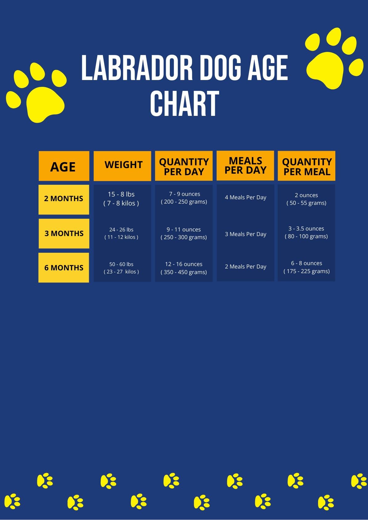 Labrador Dog Age Chart in PDF