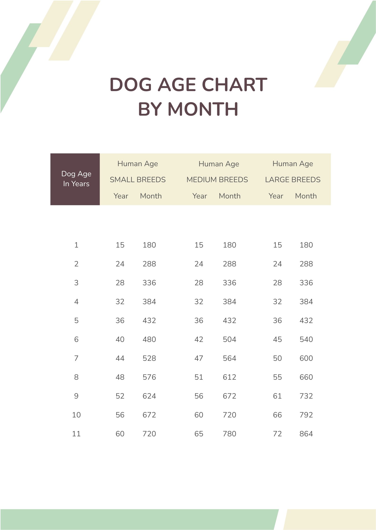 Free Dog Age Chart By Month in PDF