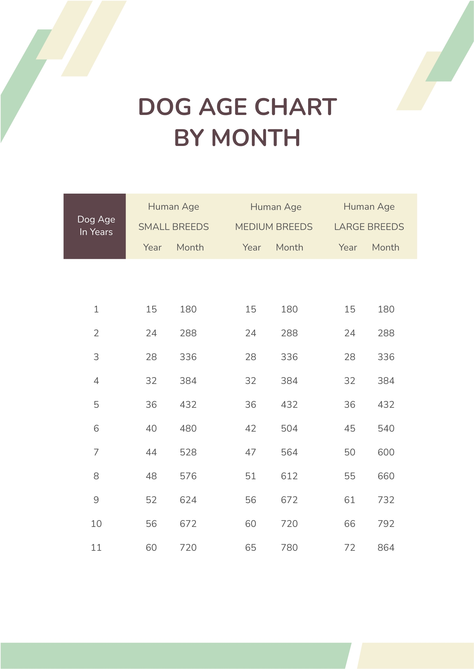 Free Dog Age Chart By Month PDF Template