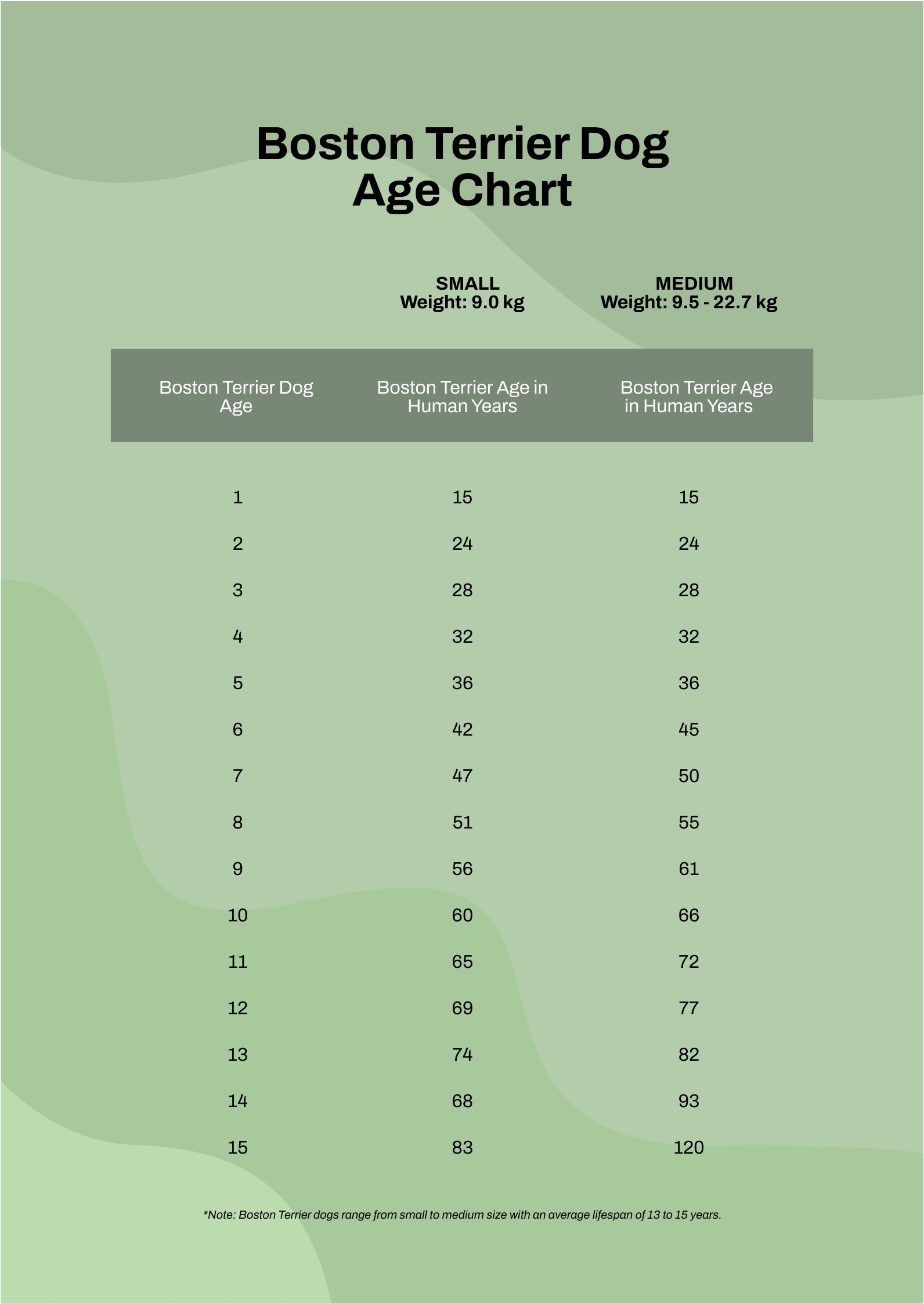 Dog Teeth Chart Age In PSD Download Template