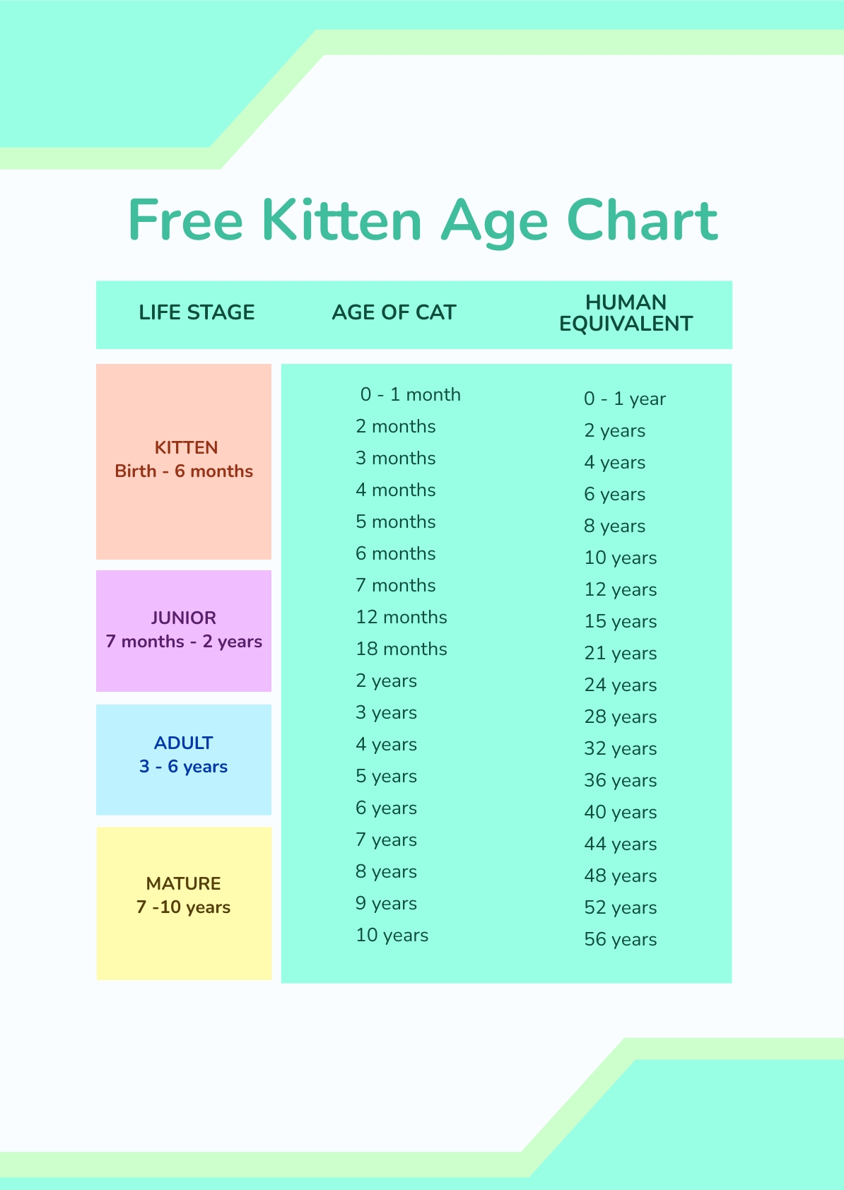 Free Kitten Age Chart Download In PSD Template