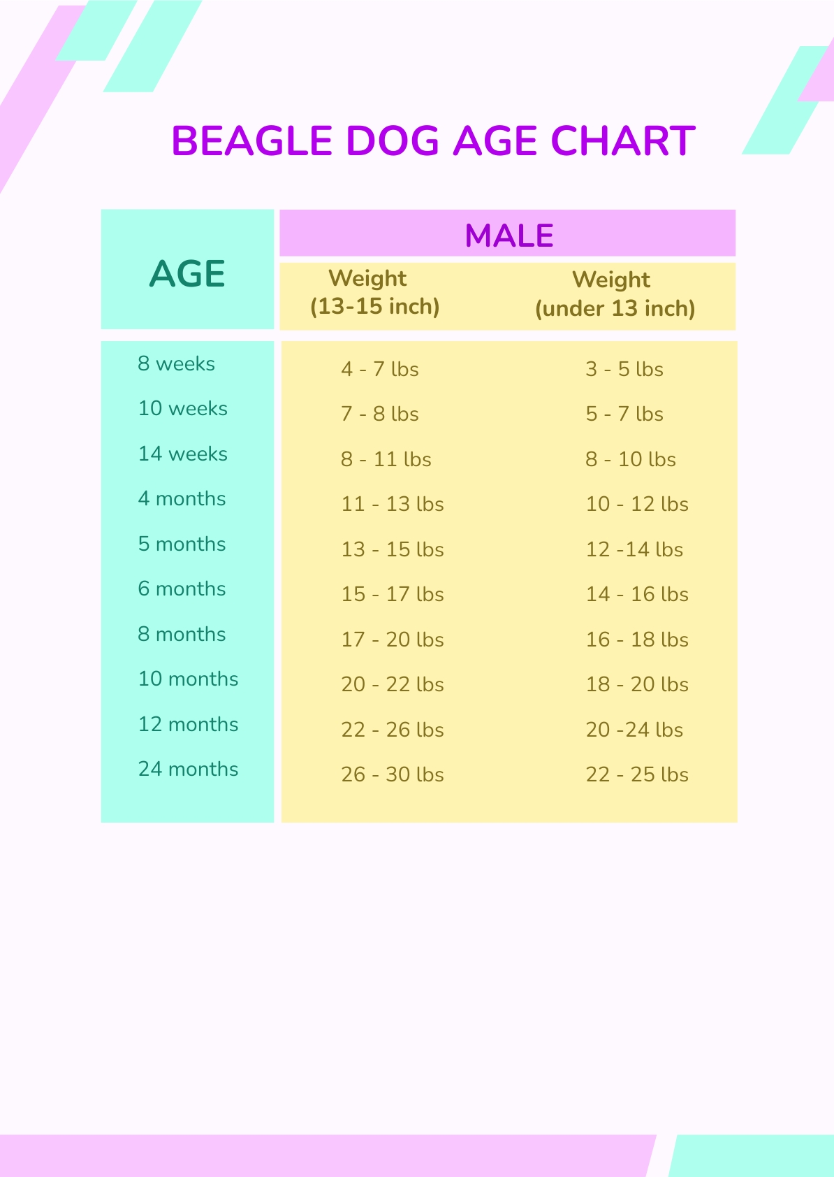 Beagle Dog Age Chart in PSD - Download | Template.net